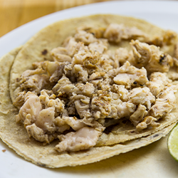 Tacos de Sesos